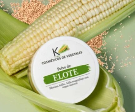 POLVO DE ELOTE (TONO 1)